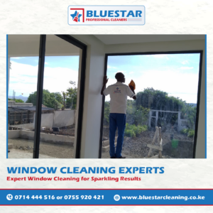 Bluestar Professional Cleaners Window cleaning 1