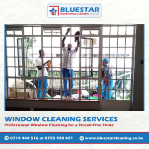 Bluestar Professional Cleaners Window cleaning