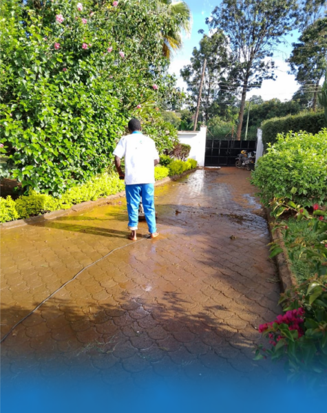 Bluestar Professional Cleaners_1 Residential Outdoor Cleaning A