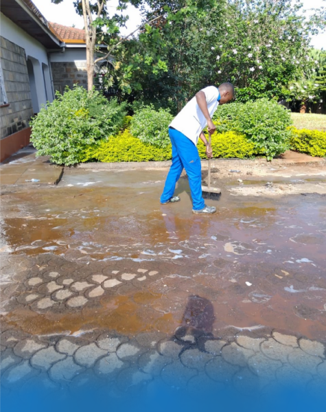 Bluestar Professional Cleaners_1 Residential Outdoor Cleaning d