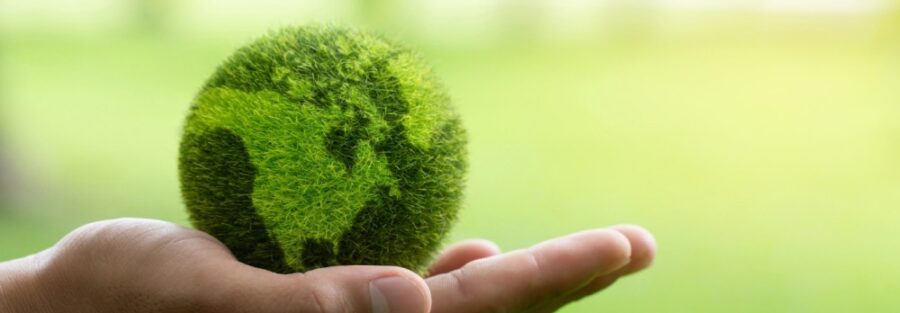 Embracing Sustainability: Bluestar Professional Cleaners' Commitment to a Cleaner Future