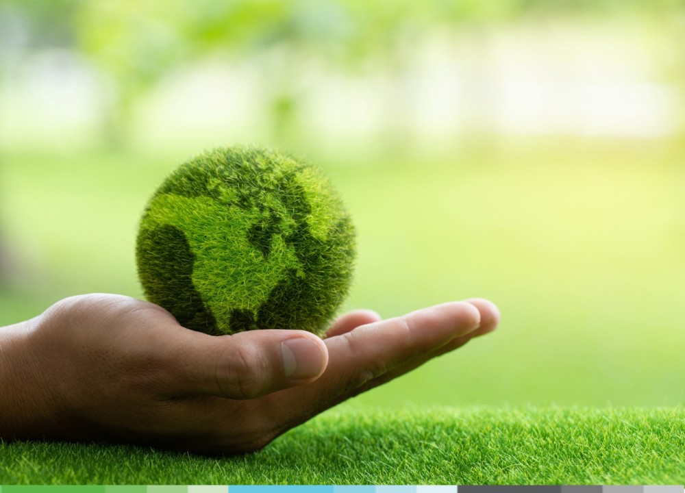 Embracing Sustainability: Bluestar Professional Cleaners' Commitment to a Cleaner Future