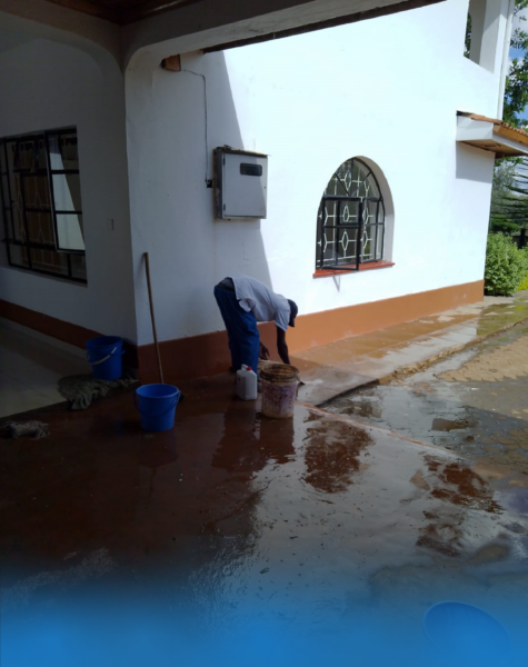 Bluestar Professional Cleaners_1 Residential Outdoor Cleaning Bluestar Professional Cleaners_1 Residential Outdoor Cleaning